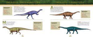 Discovering Dinosaurs by Harry Abrams 3