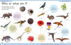 First Dinosaur Encyclopedia by Dorling Kindersley 4