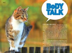 How to Speak Cat A Guide to Decoding Cat Language by Penguin Random House 1