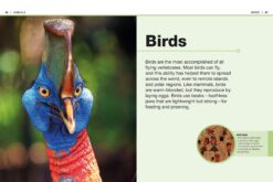 Pocket Genius Animals Facts at Your Fingertips by Dorling Kindersley 1