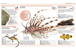 Pocket Genius Animals Facts at Your Fingertips by Dorling Kindersley 4