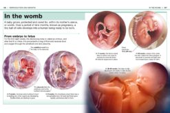 Pocket Genius Human Body Facts at Your Fingertips by Dorling Kindersley 4