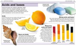 Pocket Genius Science Facts at Your Fingertips by Dorling Kindersley 3