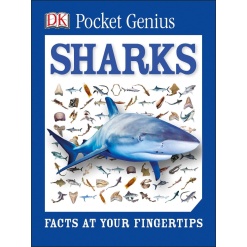 Pocket Genius Sharks Facts at Your Fingertips by Dorling Kindersley
