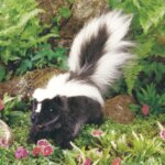 Skunk Puppet by Folkmanis 1