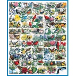 State Birds Flowers Puzzle by White Mountain Puzzles