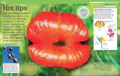 Strange But True Our Weird Wild Wonderful World by Dorling Kindersley 3