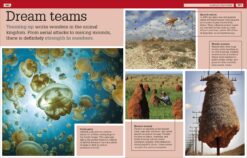 Strange But True Our Weird Wild Wonderful World by Dorling Kindersley 7