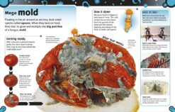 The Bacteria Book The Big World of Really Tiny Microbes by Dorling Kindersley 5