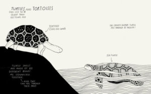 The Illustrated Compendium of Amazing Animal Facts by Penguin Random House 2
