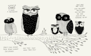 The Illustrated Compendium of Amazing Animal Facts by Penguin Random House 3