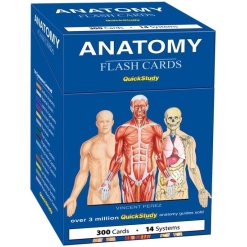 Anatomy Flash Cards by BarCharts