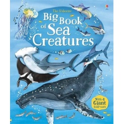 Big Book of Sea Creatures by Usborne