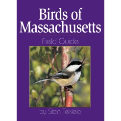Birds of Massachusetts Field Guide by Adventure Keen
