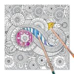 Peaceful Paisleys Adult Coloring Book by Peter Pauper Press 6
