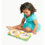 Poke A Dot Farm Animal Families by Melissa Doug 1