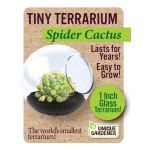Tiny Terrarium Cactus by Dunecraft