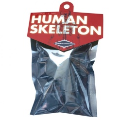 12 Glowing Human Skeleton by Copernicus