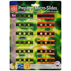 12 Slide w 36 Assorted Specimens by Elenco