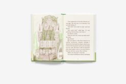 Iggy Peck and the Mysterious Mansion The Questioneers by Abrams Books for Young Readers 3