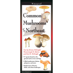 Common Mushrooms of the Northeast by Earth Sky Water