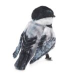 Mini Chickadee Puppet by Folkmanis 2
