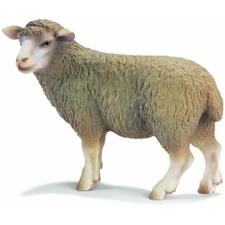 Standing Sheep Figure by Schleich