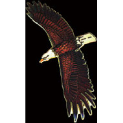Bald Eagle Pin by WM Spear Designs