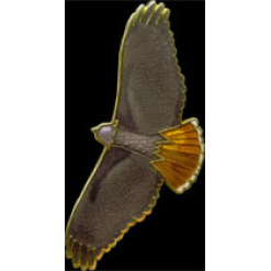Red Tailed Hawk Pin by WM Spear Designs