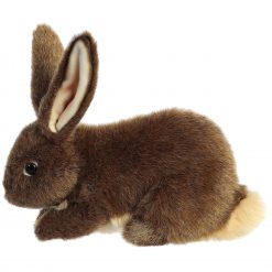 Miyoni Flemish Rabbit 10 by Aurora 4