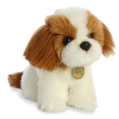 Miyoni Tots Shih Tzu Puppy 11 by Aurora scaled