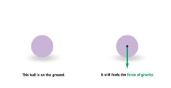 Newtonian Physics for Babies by Baby University 3