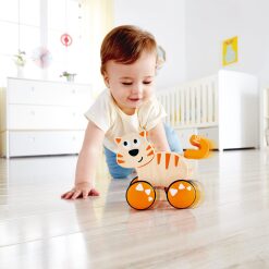 Dante Push and Go by Hape 1