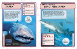 Sharks and Other Deadly Ocean Creatures Visual Encyclopedia by Dorling Kindersley 4