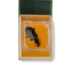 BugView Bug Catcher by Carson 4
