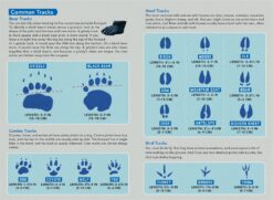 Outdoor School Essentials Animal Tracks by Odd Dot 1