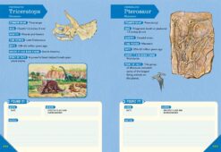 Outdoor School Rock Fossil and Shell Hunting by Odd Dot 5