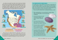 Outdoor School Rock Fossil and Shell Hunting by Odd Dot 6