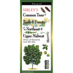Sibleys Common Trees of Trails Forests of the Northeast Upper Midwest Folding Guide by Earth Sky Water