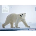 Our Planet by Harper Collins 1