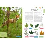 Our Planet by Harper Collins 3