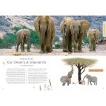 Our Planet by Harper Collins 7