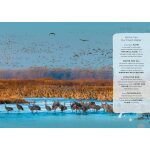 Our Planet by Harper Collins 9