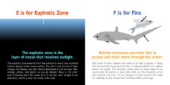 ABCs of Oceanography by Sourcebooks 3