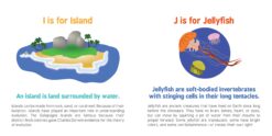 ABCs of Oceanography by Sourcebooks 5