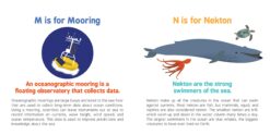 ABCs of Oceanography by Sourcebooks 7