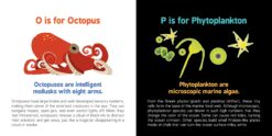ABCs of Oceanography by Sourcebooks 8