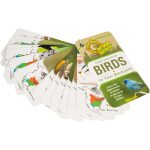 Little Birder Set by Toysmith 2