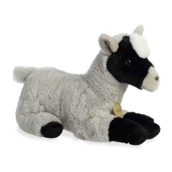 Miyoni Pygmy Goat 13 by Aurora