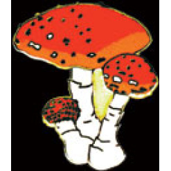 Amanita Mushroom Pin by WM Spear Designs